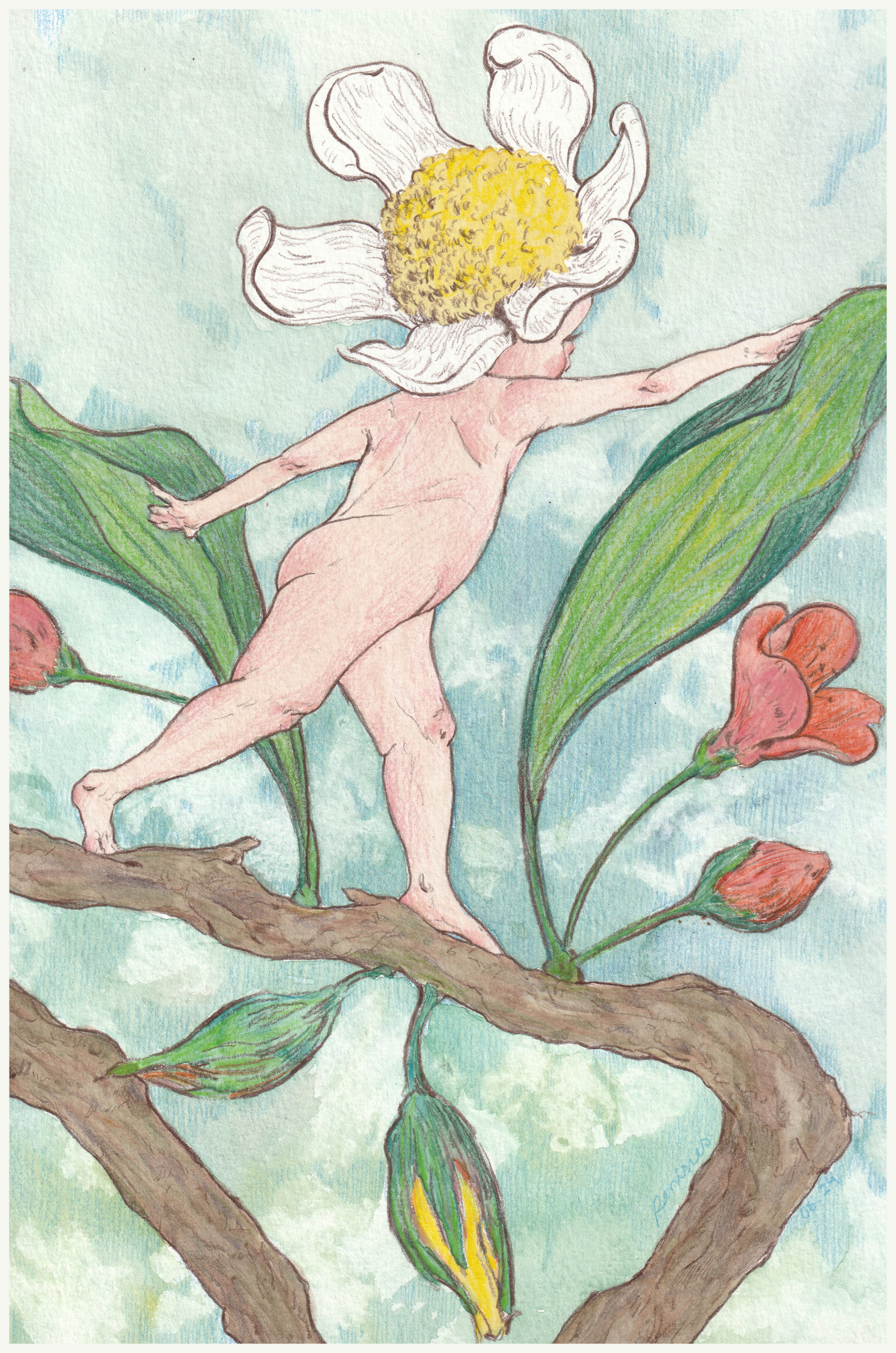 Bloom (2024), watercolor and colored pencils on paper, 21 x 29 cm